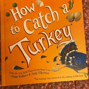 How to Catch a Turkey Book